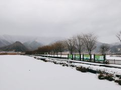 -大九湖