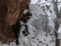 -九峰山