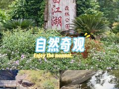 -广州白江湖森林公园