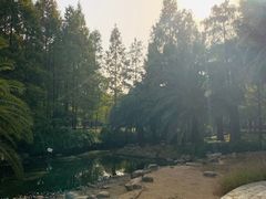 -苏州河梦清园环保主题公园