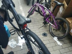 -道路口单车爱瓦士dahon大行