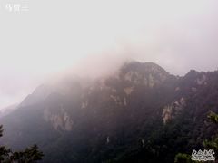 -王顺山国家森林公园