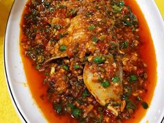 -胖大姐黄辣丁鱼庄(新津店)