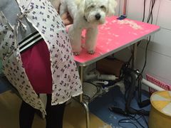 -喵宠乐园·撸猫互动·猫舍