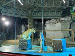 -清迈夜间动物园