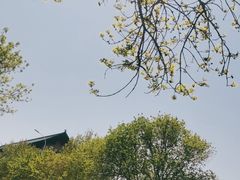 -榆次老城