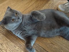 -Me Coffee下午茶艺术空间