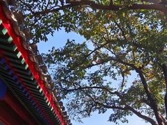 -老舍旧居
