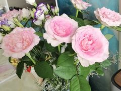 -长春青怡坊鲜花批发(青怡坊花鸟市场店)