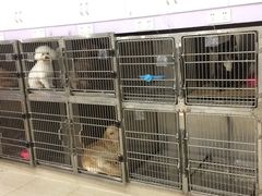 -佳雯宠物医院(四明中路分院)