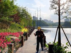 -重庆彩云湖湿地公园