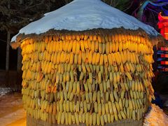 -长春市南湖公园