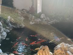 -鲤院·新中式美学·庭院餐厅(夫子庙店)