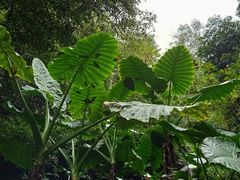 -桂林古东瀑布景区