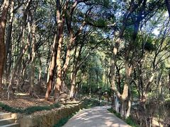 -杭州半山国家森林公园