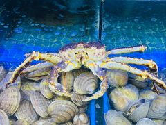 -震海贝烤贝·民俗特色店(延吉总店)