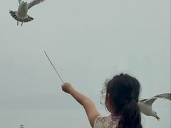 -黑石礁公园