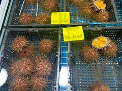 -马栏广场(地铁站)