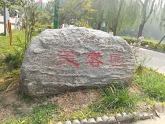 -白洋淀景区