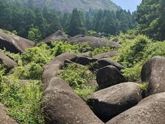 -玉苍山国家森林公园