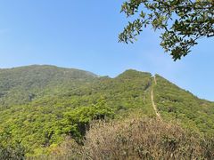 -梧桐山风景名胜区