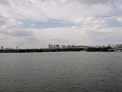 -贡湖湾湿地公园