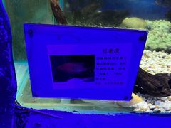 -无锡海洋馆