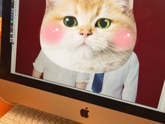 -爱定格照相馆.证件照(周浦万达店)