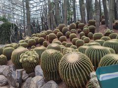 -南山植物园