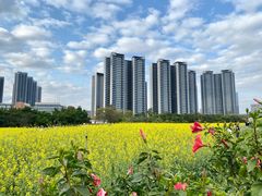 -光明小镇欢乐田园