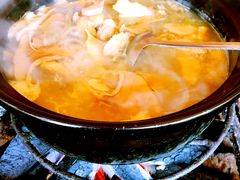 -蘑统田下·野生菌火锅