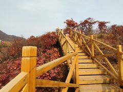 -水峪民俗村