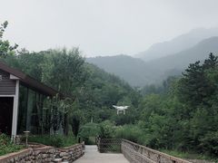 -欢乐松鼠谷