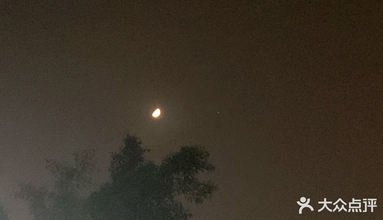 心里再次充满期待。上来了，不过是粥，料很足