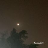 心里再次充满期待。上来了，不过是粥，料很足