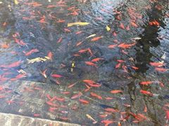 -水磨沟公园