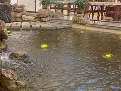 -舜耕山庄四时万和自助餐厅