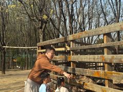 -圣露庄园·露营·烤肉·亲子