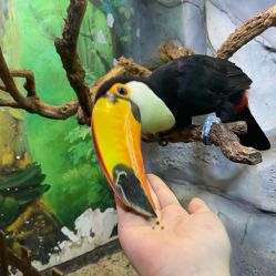 -Zoolung Zoolung动物主题公园(海信广场店)