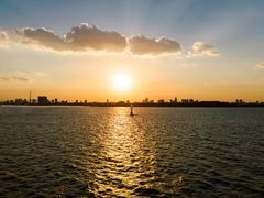 -上海滨江森林公园