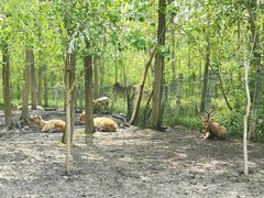 -溱湖国家湿地公园