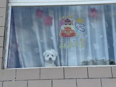 -辛庄国际文化艺术区