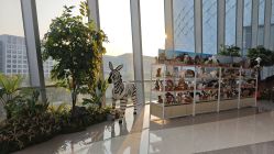 -IMON·HANSA潮玩玩偶毛绒玩具(通州万象汇店)