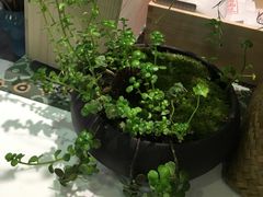 -扫雪煮茶(西村店)