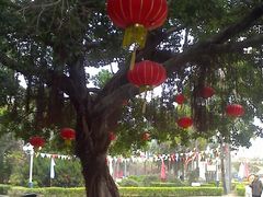 -金砂公园