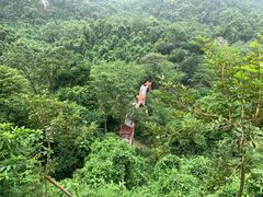 -广西龙虎山风景区