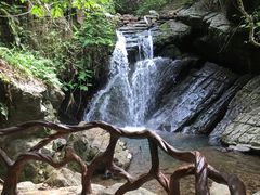 -江西阳明山国家森林公园