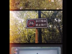 -青龙山国家森林公园
