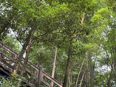 -凤栖山