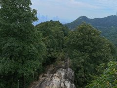 -南山植物园